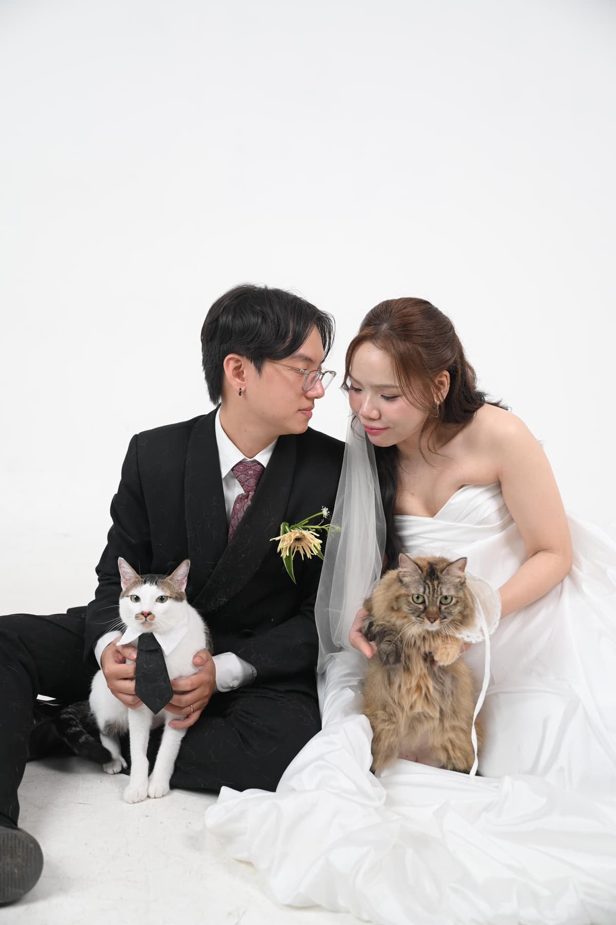 Ảnh cưới với mèo